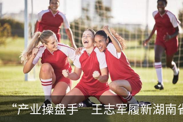 “产业操盘手”王志军履新湖南省委书记