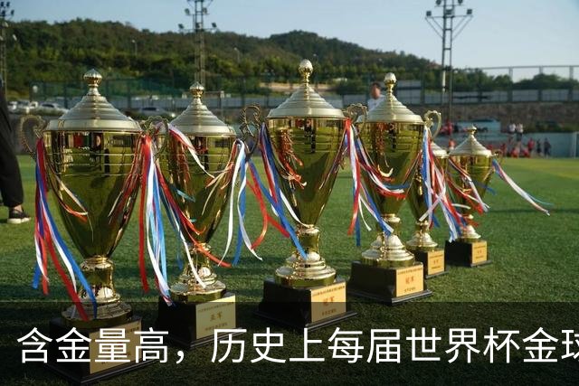 含金量高，历史上每届世界杯金球奖得主都保底金球奖前五名