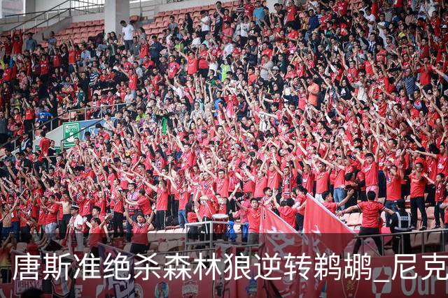 唐斯准绝杀森林狼逆转鹈鹕 尼克斯送黄蜂4连败