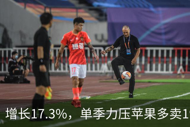 增长17.3%，单季力压苹果多卖191万台！国产之光蝉联中国市场第一