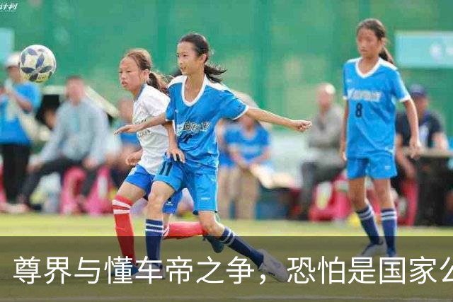 尊界与懂车帝之争，恐怕是国家公信力的又一个转折点