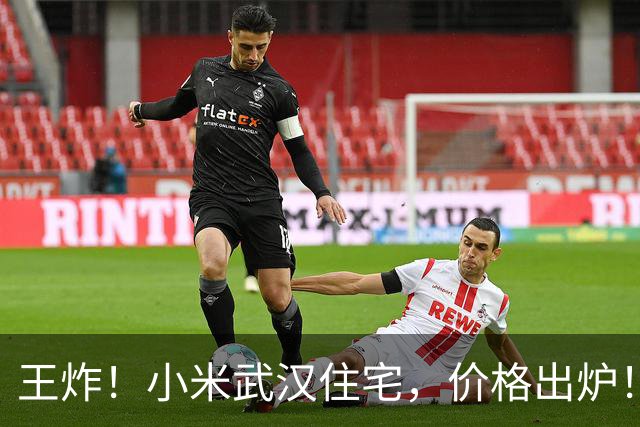 王炸！小米武汉住宅，价格出炉！