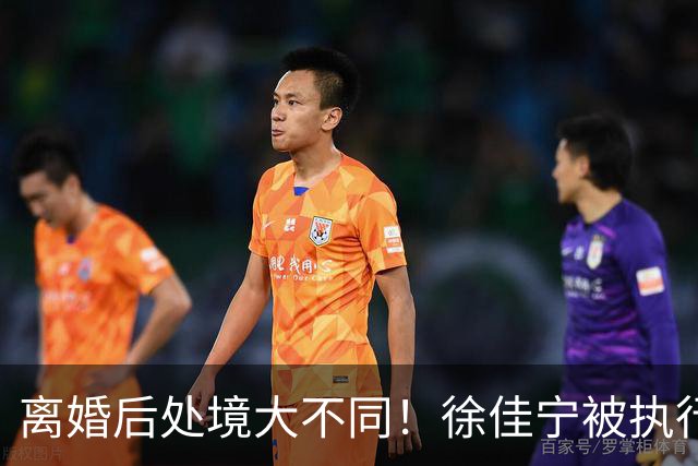离婚后处境大不同！徐佳宁被执行标的2111万元，李小冉买豪宅名车
